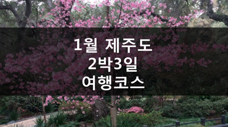  1월 제주도 2박3일 여행코스 서귀포시 남원읍 위미리 927번지!! #1