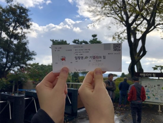  11월 동백꽃 필 무렵, 카멜리아힐 관광 후기(feat. 저렴한 쿠팡 티켓)