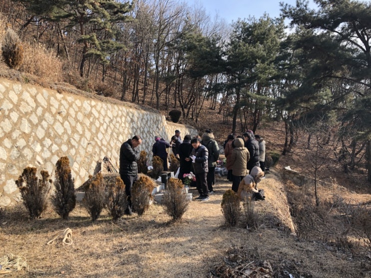  호상
