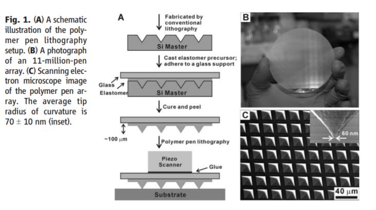  Polymer Pen Lithography