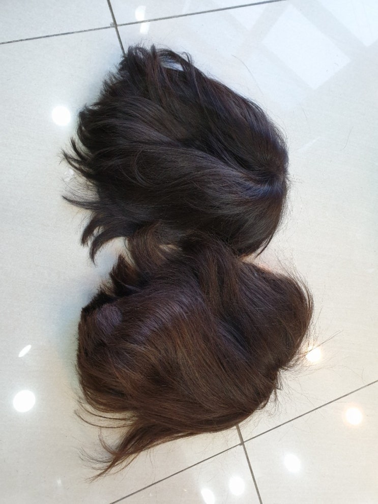  춘천가발 김호증모 원형탈모 회복하고 패션가발 벗었습니다! 원형탈모의 원인ㆍ치료ㆍ사후관리방법도 알아보았습니다.