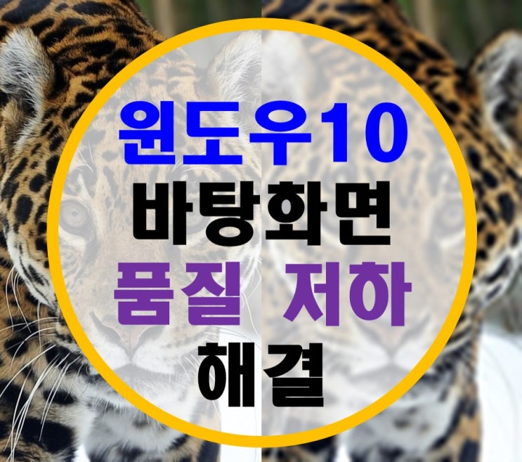 윈도우10 바탕화면 품질저하 해결, 고화질 바탕화면 적용하기