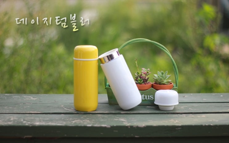  데이지텀블러 방문고객감사답례선물
