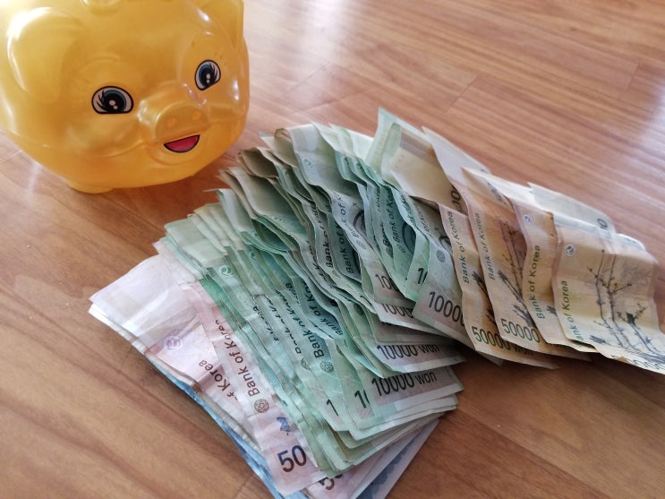 돼지저금통. 돼지저금통.