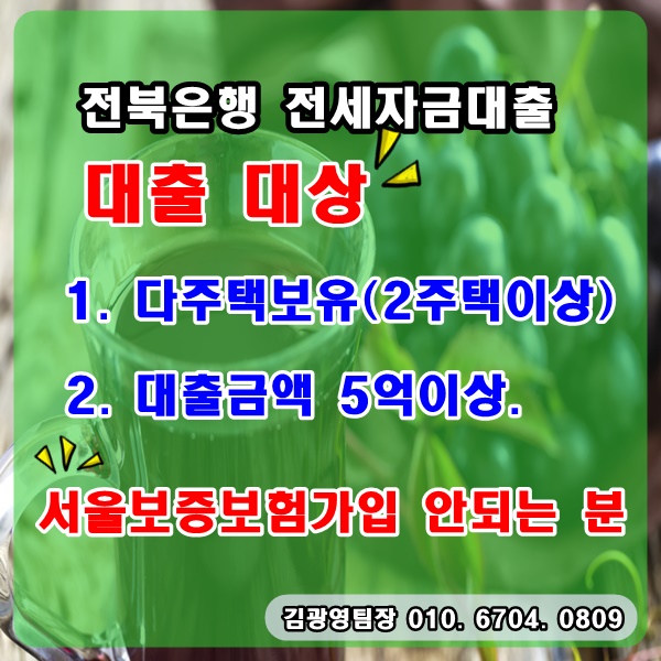 다주택자를 위한 전세자금대출 상품정보