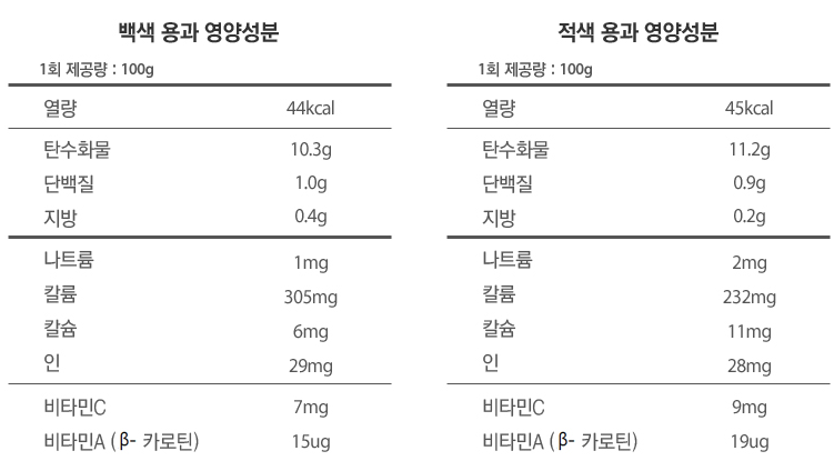 용과 먹는 방법과 효능, 영양소를 알아보세요.