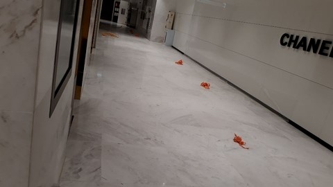  바닥대리석교체보수작업