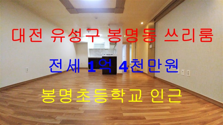  대전봉명동전세쓰리룸/봉명초인근쓰리룸전세