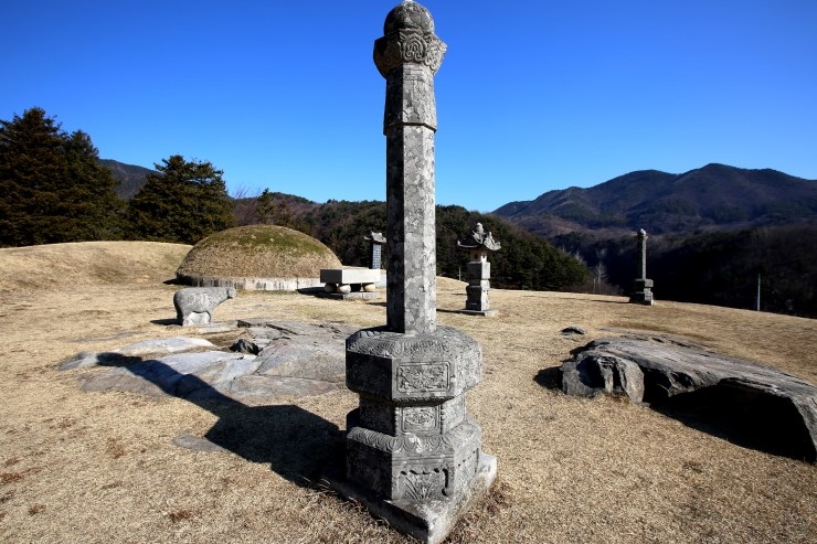  남연군 묘, 왕권을 향한 집념