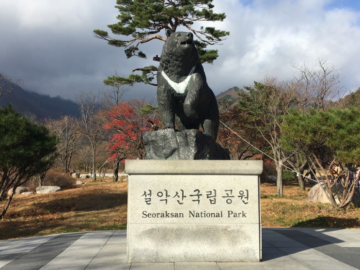  강원 속초 설악산 하조대 당일치기 여행