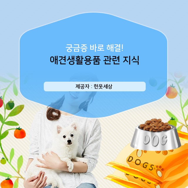  광주 헌옷팔기 애견생활용품 연관 상식 이야기