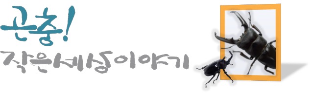  찾아가는 곤충교실 "곤충!작은세상이야기" 사업소개서 다운로드