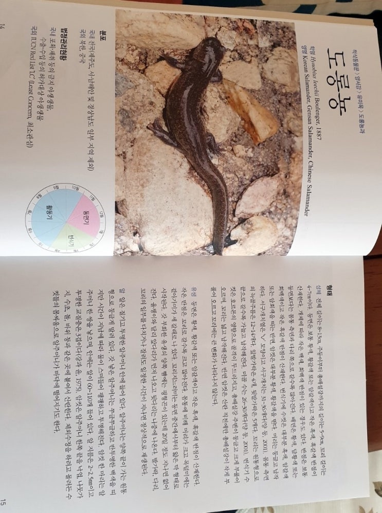 [동물덕후] 최근 좋아하는 책: 한국 양서류 생태 도감