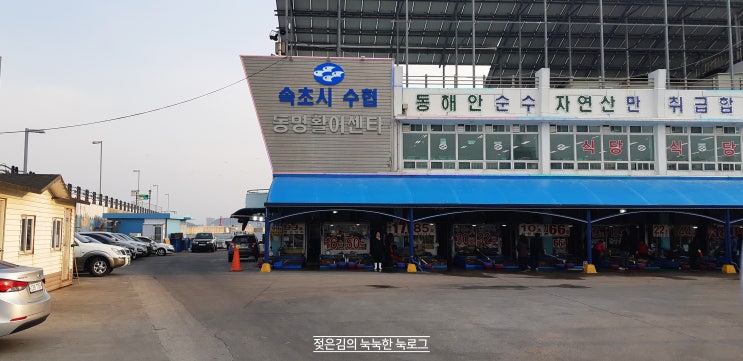 속초 동명활어센터 , 자연산만 취급하는곳. 속초 동명활어센터 , 자연산만 취급하는곳.