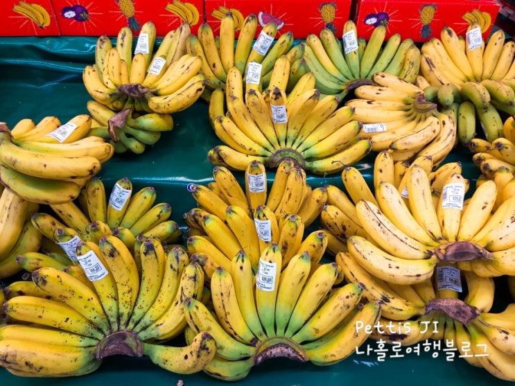 필리핀 망고, 바나나 1월 가격 (앙헬레스 네포몰 기준)