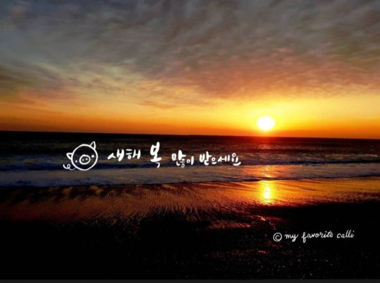  2019년 해돋이 보러 동해바다로~