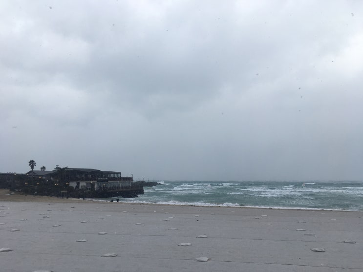  새벽수련. 내자리...190104