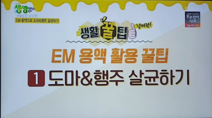  생생정보생활꿀팁넘버원,친환경EM용액활용꿀팁,도마행주살균하기,신발장음식물쓰레기싱크대하수구악취줄이기,탄냄비제거,친환경주방세제만들기,쌀뜬물로EM용액만드는법