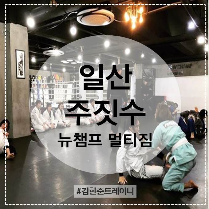  일산 주짓수는 뉴챔프 멀티짐이죠? 알면서