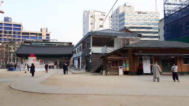  기해년 1월의 조계사
