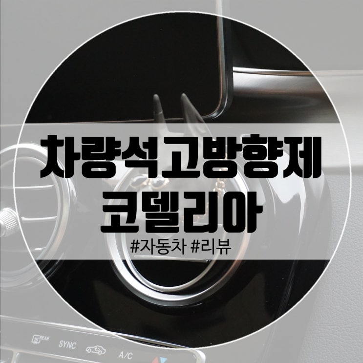  차량석고방향제 도베르만 멋스러움! 코델리아에서