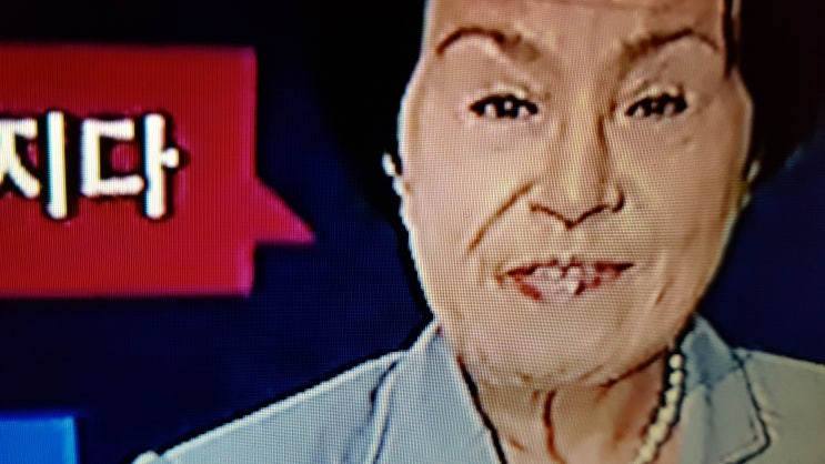  " 이순자여사의 일그러진 "
