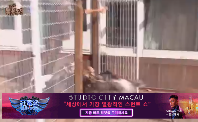  모으고 있다.양세종은 SBS '낭만닥터 김사부