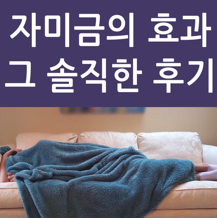 자미금 과연 잠이 잘올까..?!