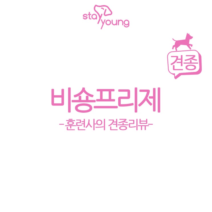  [훈련사의 견종 리뷰] 알고 기르자, 비숑프리제!