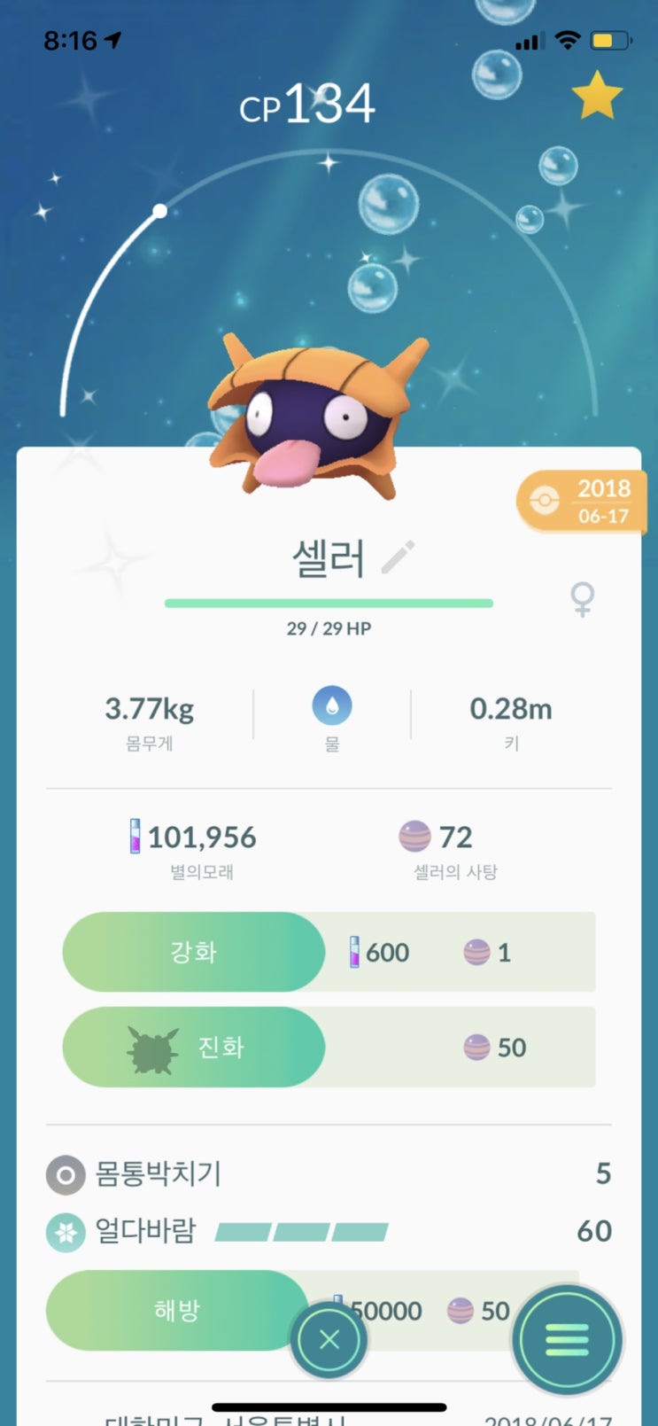  [포켓몬고] 셀러 - 파르셀 이로치