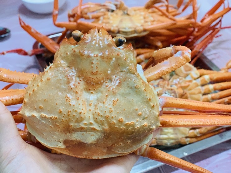  소일기: 포항 홍게 무한리필 “울진왕돌초” 추천, 대게가위 사용법, 게 먹는 법