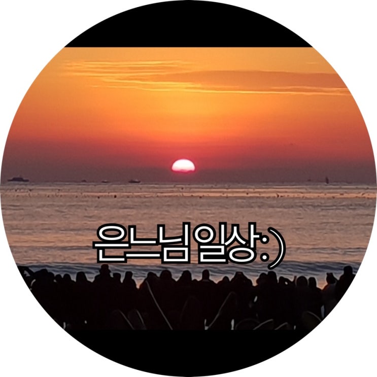  [은느님 일상]2019년 1월달 드폰이에 오늘까지 사진 모아모아 쓰는 일상포스팅 : )