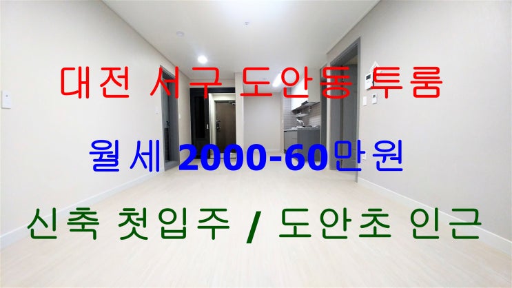  대전서구도안동신축첫입주투룸월세/도안초등학교인근신축첫입주투룸월세