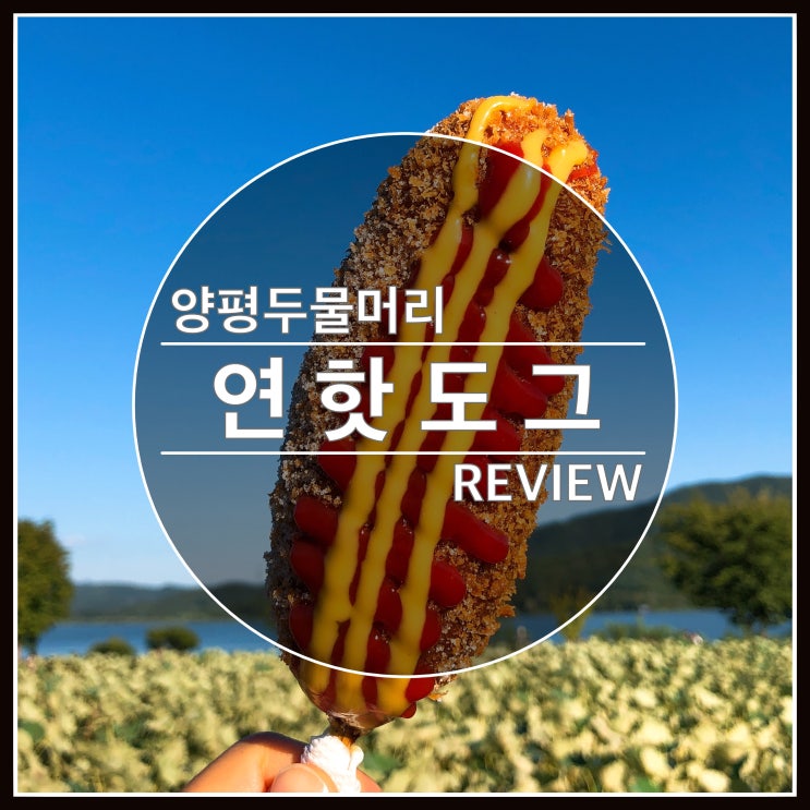 양평 두물머리 명물 연 핫도그 한번 드셔보세요~ 양평 두물머리 명물 연 핫도그 한번 드셔보세요~