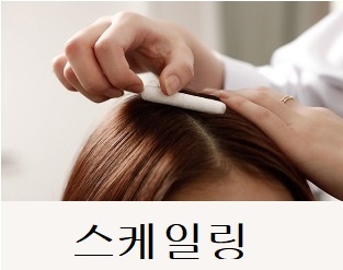 두피클리닉-스케일링 두피클리닉-스케일링