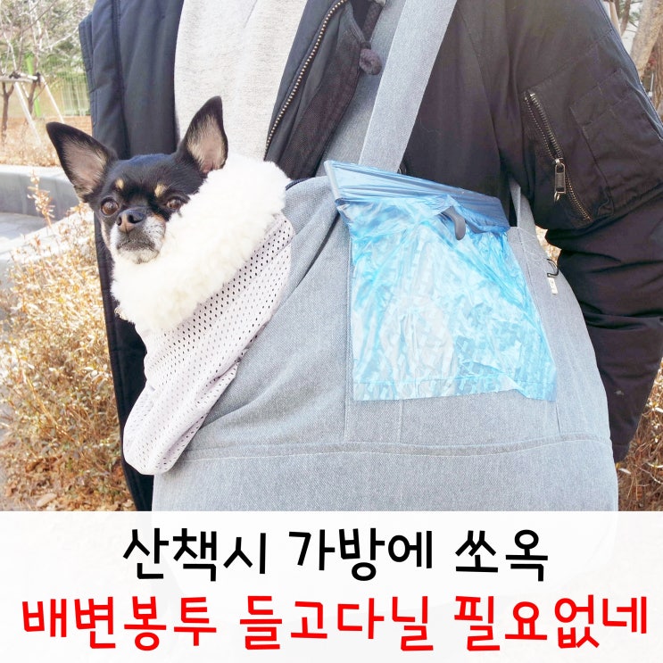  강아지 배변봉투 냄새 차단 와이즈홀더 편리해라