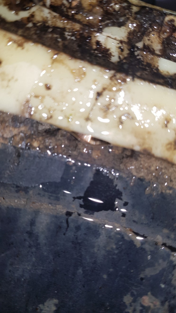  분당누수 정자동누수 정자동방수 정자동설비  상록마을 느티마을 세탁기를 사용시 누수발생