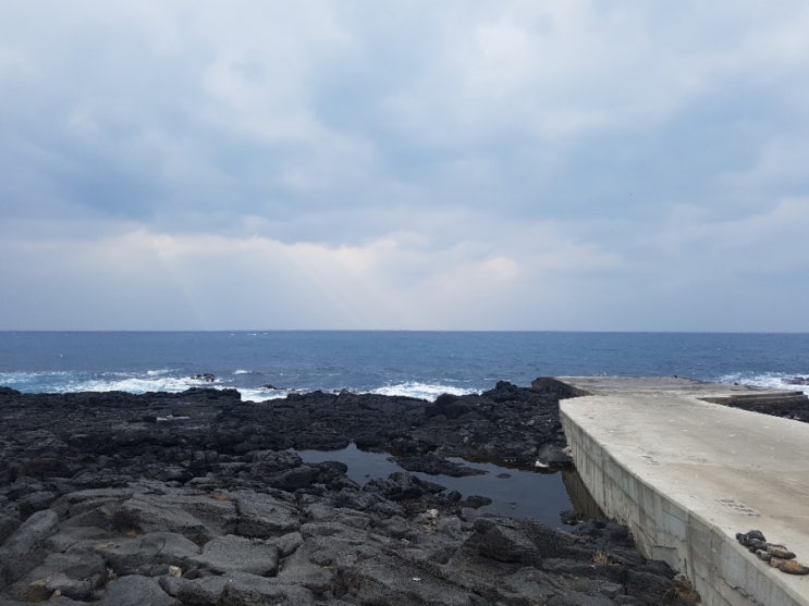 신년제주여행 1월2~4일(with희,숙,미)