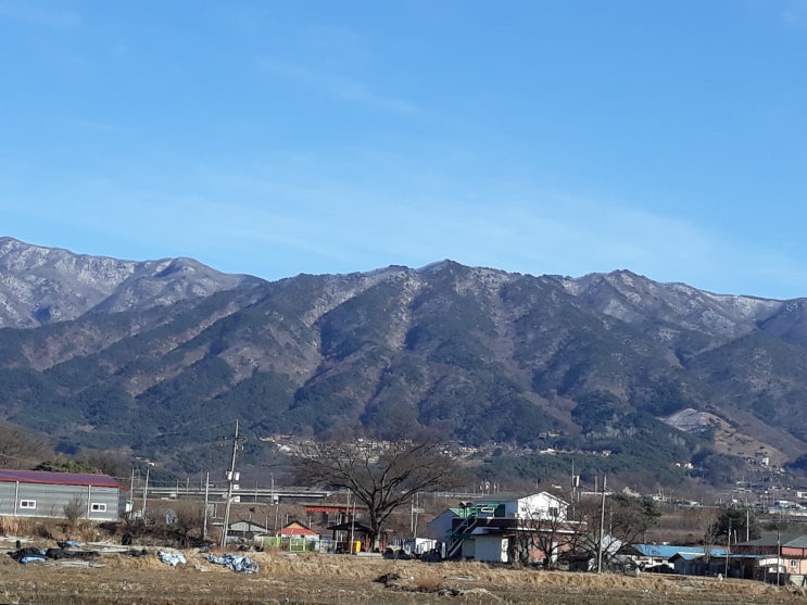  사주안의 순수함.