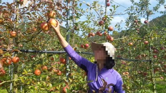  새해맞이 흙받기(객토)