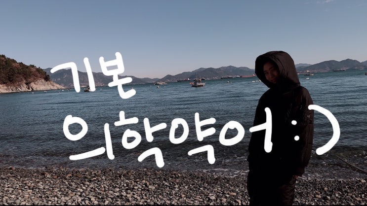  생명징후 & 기본 의학약어 표로 정리 : )