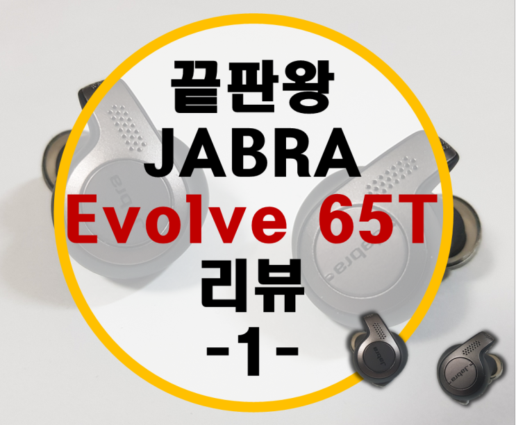 JABRA Evolve 65T 무선 블루투스 이어폰 자브라 이볼브 끝판왕 리뷰 -개봉기-