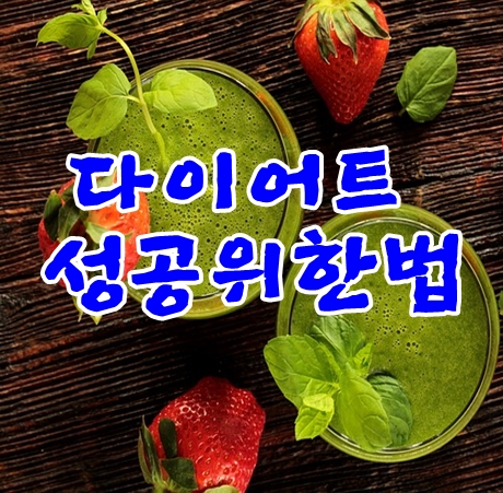 다이어트성공 위한법 2019년도 이렇게 실패하지않는법 