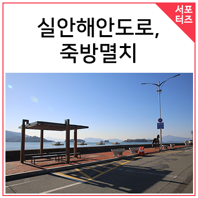  사천의 숨은 속살 실안해안도로와 죽방멸치