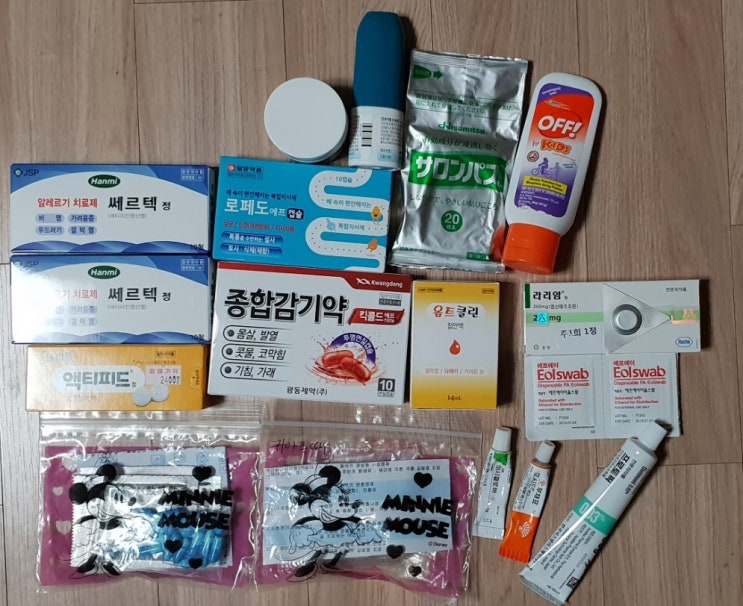  초딩 두딸과 떠나는 2달여행/비상약편