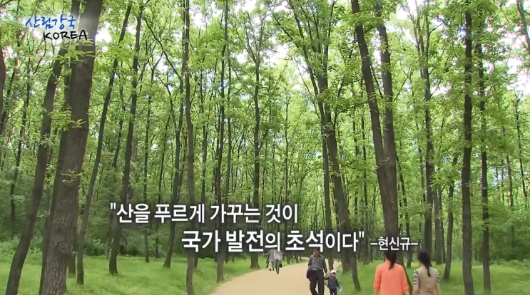  현신규/전 세계에서 한국만 유일하게 성공한 일