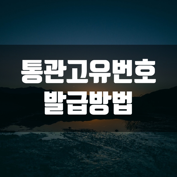  관세청 개인통관번호 발급 및 조회