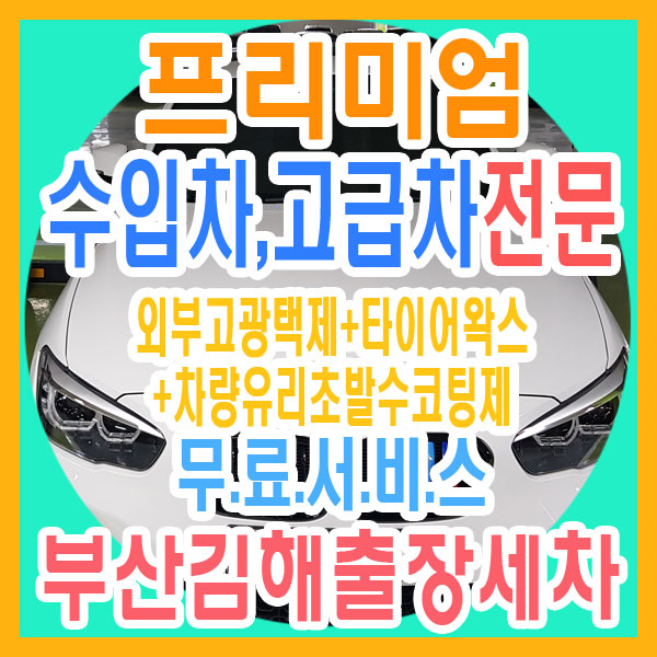 [부산 출장세차] 부산 남구 문현동 BMW X1 스팀세차