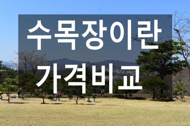  수목장이란-가격비교안내