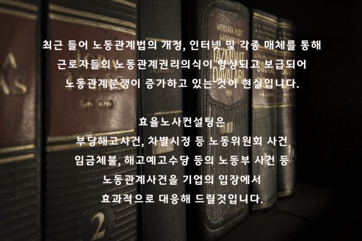  [사건전문노무사] 노동관계 사건 사업주 대리